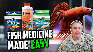 How to Treat Sick Fish with the Quarantine Medication Trio