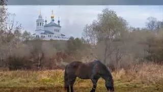 Жюль Массне. ЭЛЕГИЯ (Поёт Борис Штоколов)