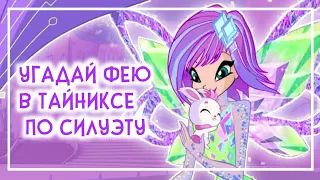 ВИНКС ТЕСТ:УГАДАЙ ФЕЮ В ТАЙНИКЕ ПО СИЛУЭТУ | Winx Club | Винксанутая