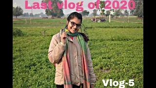 My North Indian akka veedu village tour | தமிழ் vlog 2020 | last Tamil vlog of 2020 | happy new year