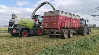 Senáže 2024|PDP Veľké Kostoľany|Claas Jaguar 850|2x New Holland|Massey Ferguson