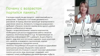 Почему ухудшается память с возрастом?