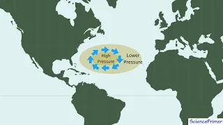 Ocean Gyres and Geostrophic Flow