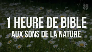 1 Heure de Bible aux sons de la nature #biblevision