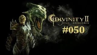 Let's Play Divinity II Ego Draconis #050 [Blind] [Deutsch] - Es hat BOOM gemacht!