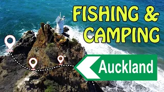 Auckland Fishing And Camping Spots, THE VERY BEST!