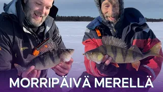 ISOJA AHVENIA morrilla Raippaluodosta - morritekniikat merelle - Ahvenen pilkintä - Kalastus