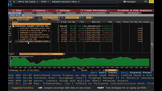 Bloomberg Terminal - Intro to PORT: Portfolio & Risk Analytics