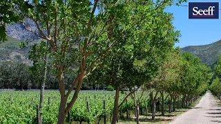 R45,000,000 | 29Ha Farm in Franschhoek