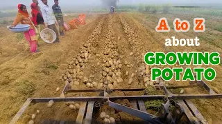 Profitable Potato farming 🥔  Seed to harvest | आलू की खेती की पूरी जानकारी @OrganicAcre