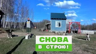 ХАМОН ДЛЯ СОБАК, КРАСНЫЕ КАЧЕЛИ и другие приключения в Загайках