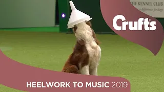 Freestyle International Heelwork to Music - Part 1 | Crufts 2019