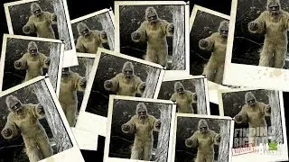 Photographic Proof? | Finding Bigfoot: Rejected Evidence