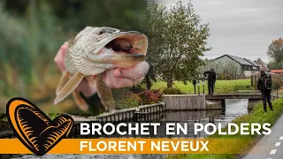 Quelques conseils sur la pêche du brochet en polders