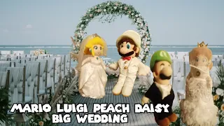 SMEW: Mario Luigi Peach Daisy Big Wedding