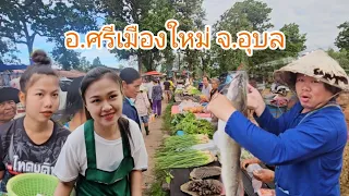 #ตลาดนัด อ.ศรีเมืองใหม่ #อุบลราชธานี #อาหารอีสาน #อาหารพื้นบ้าน #อาหารตามฤดูกาล #บ้านเฮา #เลาะตลาด