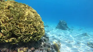 4k Video Redsea Eilat Israel part 6