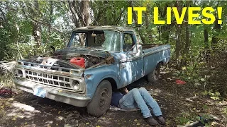 Abandoned F250 Revival! First Start in 26 Years -- Part 2