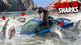 This Family Gets Eaten By a PACK OF SHARKS After Crashing Car Into Water!