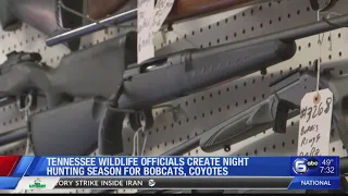 Tennessee wildlife officials create night hunting season for bobcats, coyotes