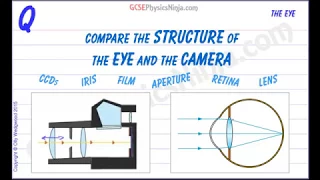 Structure of the Eye vs Camera - GCSE Physics