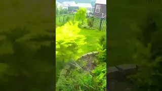 80MPH Winds VS Trampoline 😱