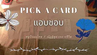 PICK A CARD แอบชอบ ( ณัฏฐ์ดูดวงเจาะชีวิต @nathoro456  หนูบีจอมโหด @user-ws4kr9so8w )