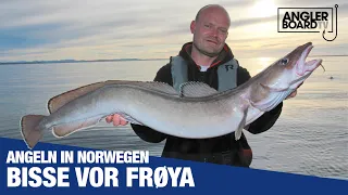 Angeln in Norwegen | Bisse vor Frøya | Fischen auf Leng, Pollack, Seelachs & Co | Anglerboard TV