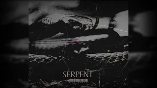 Free Dancehall Instrumentals - Serpent Riddim