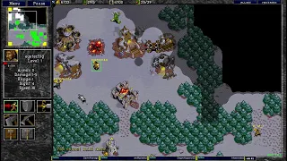 Warcraft 2 27.1.2024