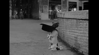Umberto D (1952) by Vittorio De Sica, Clip: Flag and his hat...