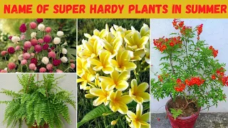 May end और june में लगने वाले पौधे जो कभी ख़राब नहीं होते है | Hard to kill outdoor plants