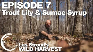 Wild Harvest | Season 2 | Episode 7 | Trout Lily & Sumac Syrup