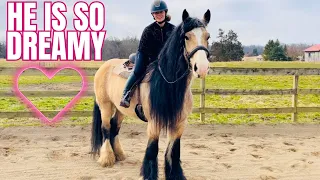 My Horse’s Crazy Mane Care Routine, Plus Riding! He is So Whimsical