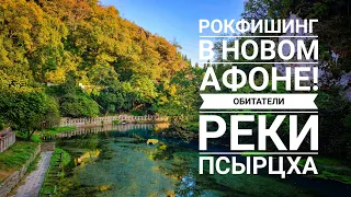 Абхазия рыбалка! Окрестности Нового Афона!