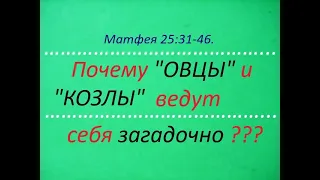Матфея 25:31-46. Загадочные МОМЕНТЫ этого текста из Библии. Об " овцах " и " козлах ". Поиск ответов