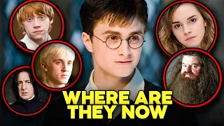 Harry Potter Cast Then & Now (2022)