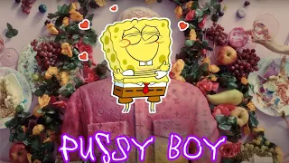 Pussy boy ( Пародия Губки боба )