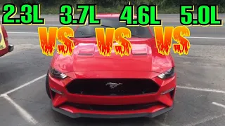 Ford Mustang: 2.3L Vs 3.7L Vs 4.6L Vs 5.0L!