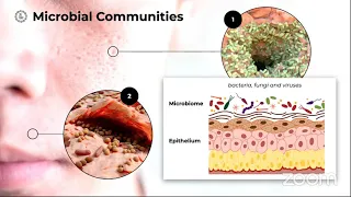 Omics Logic Metagenomics - Helix Biogen & Pine Biotech for Omics Logic Africa