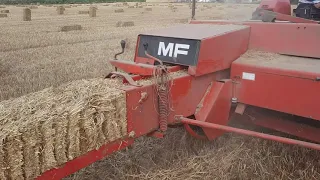 massey ferguson 188 4wd bailing straw with a mf 124 bailer