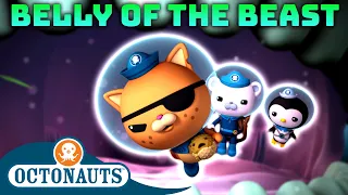 ​@Octonauts - Belly of the Beast | 60 Mins Compilation | Underwater Sea Education