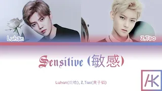 Luhan(鹿晗), Z.Tao(黄子韬) -  Sensitive (敏感) (Color-Coded Lyrics Kan/Pin/Eng)