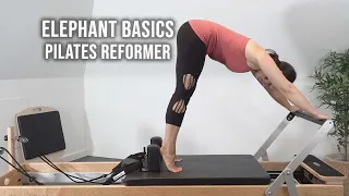 Elephant Exercises Basics - Pilates Reformer