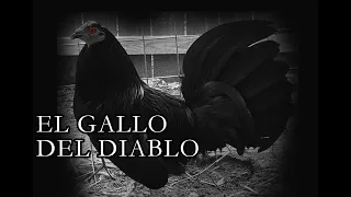 El Gallo Del DIABLO (Historia De Terror) ¿Te atreves a escucharla?