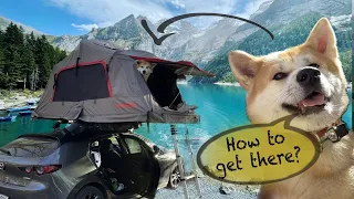 Akita Inu dog camping in switzerland, Unterseen, Pawsome Adventure