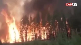 Власти заметили пожары в Сибири, а про Забайкалье - ни слова