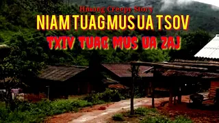 Niam tuag mus ua tsov txiv tuag mua ua zaj 9/11/2022