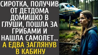 Сиротка, получив от детдома дом в глуши, пошла за грибами и нашла самолет… А едва заглянув в кабину…