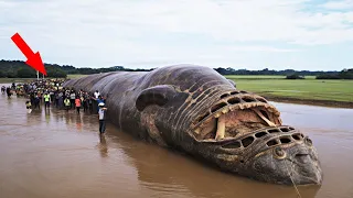 This Discovery in a RIVER SCARED Scientists!